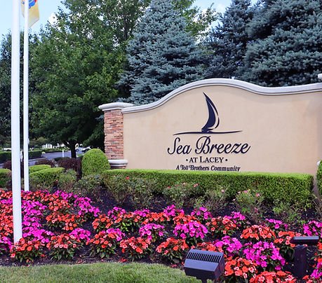 Landscaping tips for seasonal care