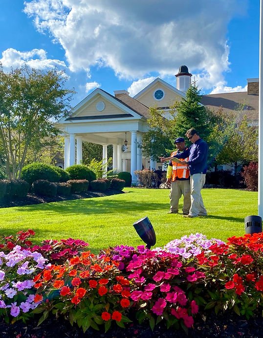 How to maintain a healthy lawn